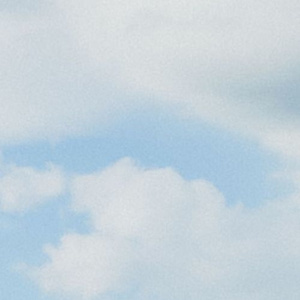 章子怡被黑人玩高潮了几次
