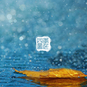 章子怡被黑人玩高潮了几次
