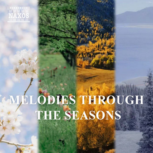 章子怡被黑人玩高潮了几次
